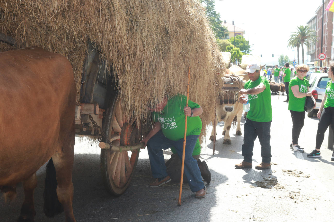 Llenazo en Llanera por la Feria del Ganado