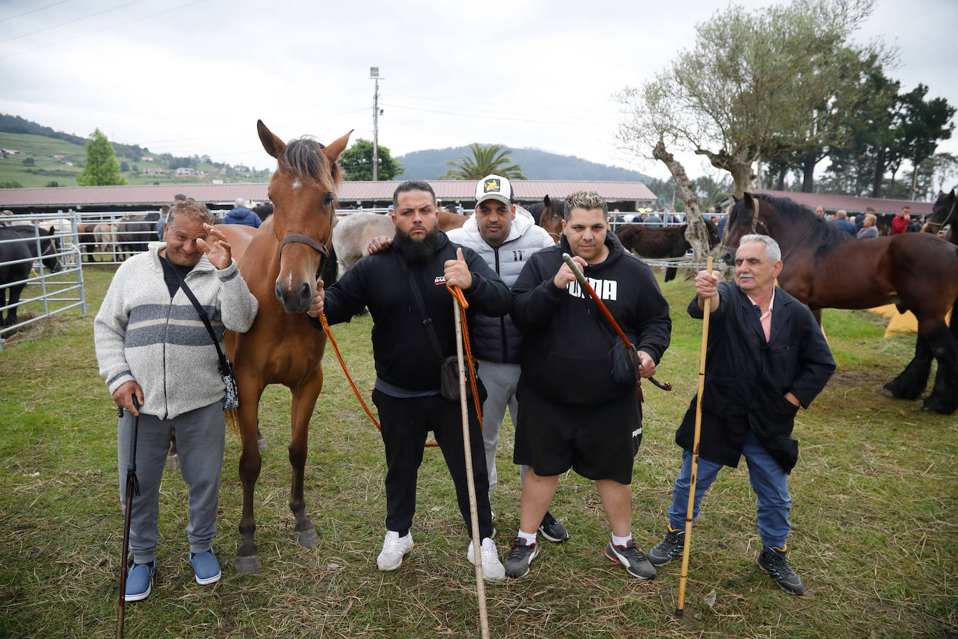 La feria de ganado de Llanera se supera