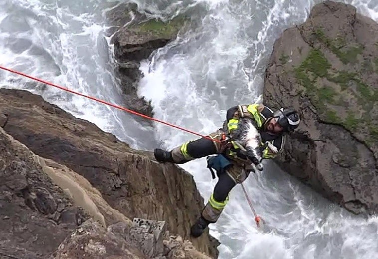 El bombero, durante el operativo de rescate de la perrita.