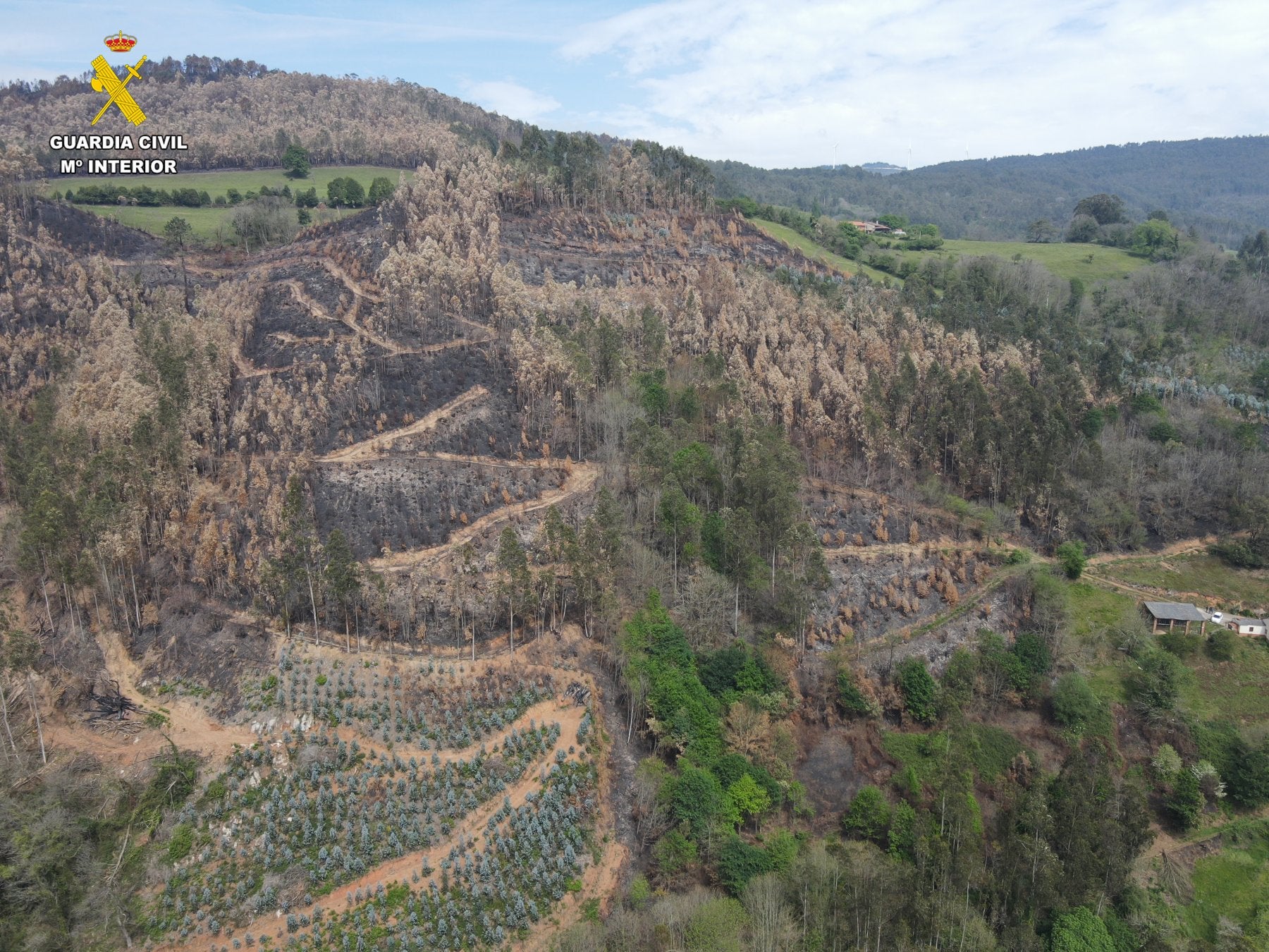 Vista aérea de la zona arrasada por el fuego, en Las Regueras.