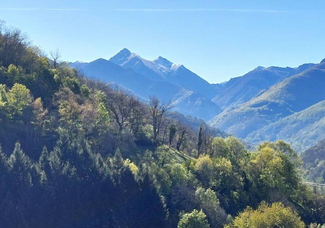 El pico Torres destacado sobre un mar de verde bosque desde el mirador de Pandiecha