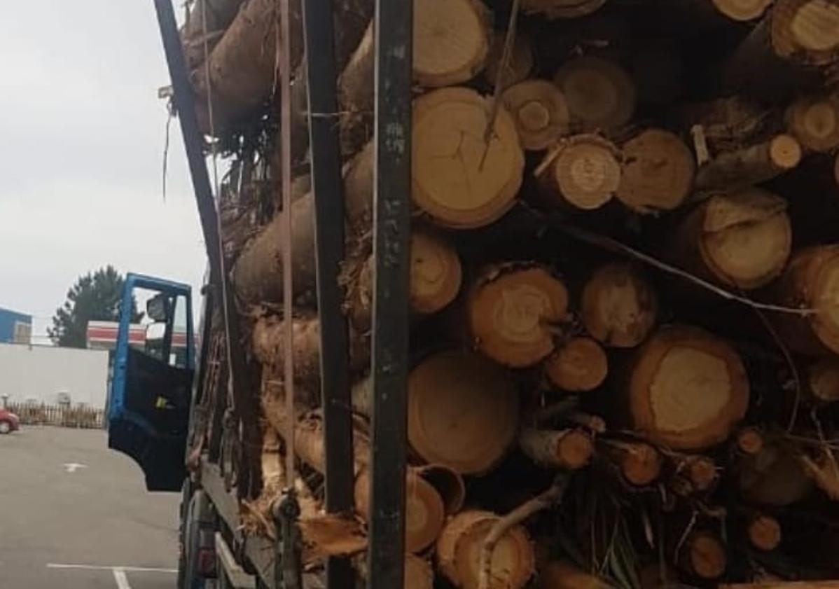 Imagen principal - La Guardia Civil detiene en Navia a un camión que llevaba troncos mal asegurados