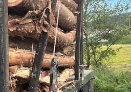 Troncos mal asegurados en un camión que circulaba por la A-8