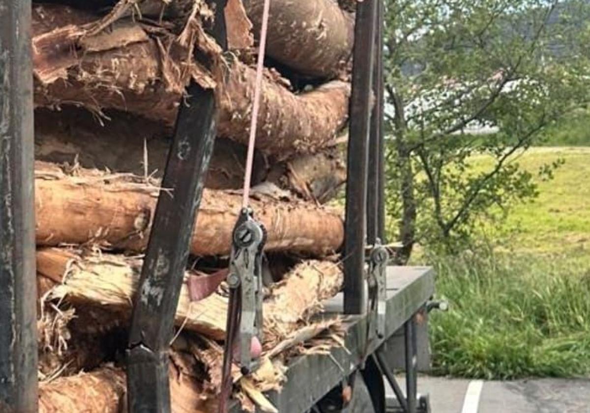 Troncos mal asegurados en un camión que circulaba por la A-8