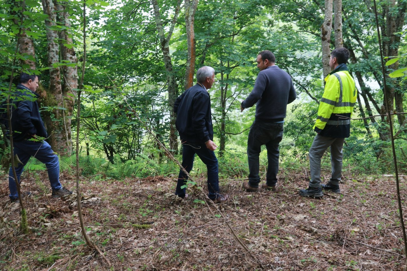 El alcalde visita con el director general de Calidad Ambiental (en el centro) y con técnicos la zona donde estará el mirador.