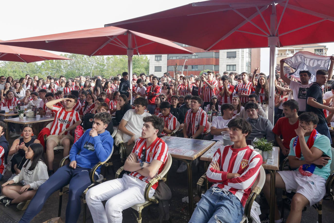 Éxtasis en Gijón tras la victoria del Sporting