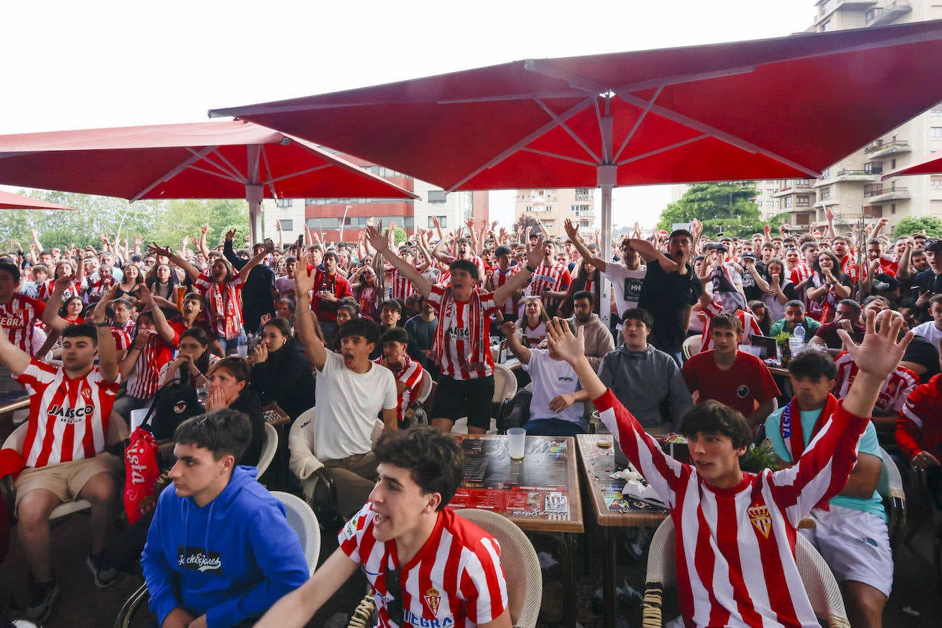 Éxtasis en Gijón tras la victoria del Sporting