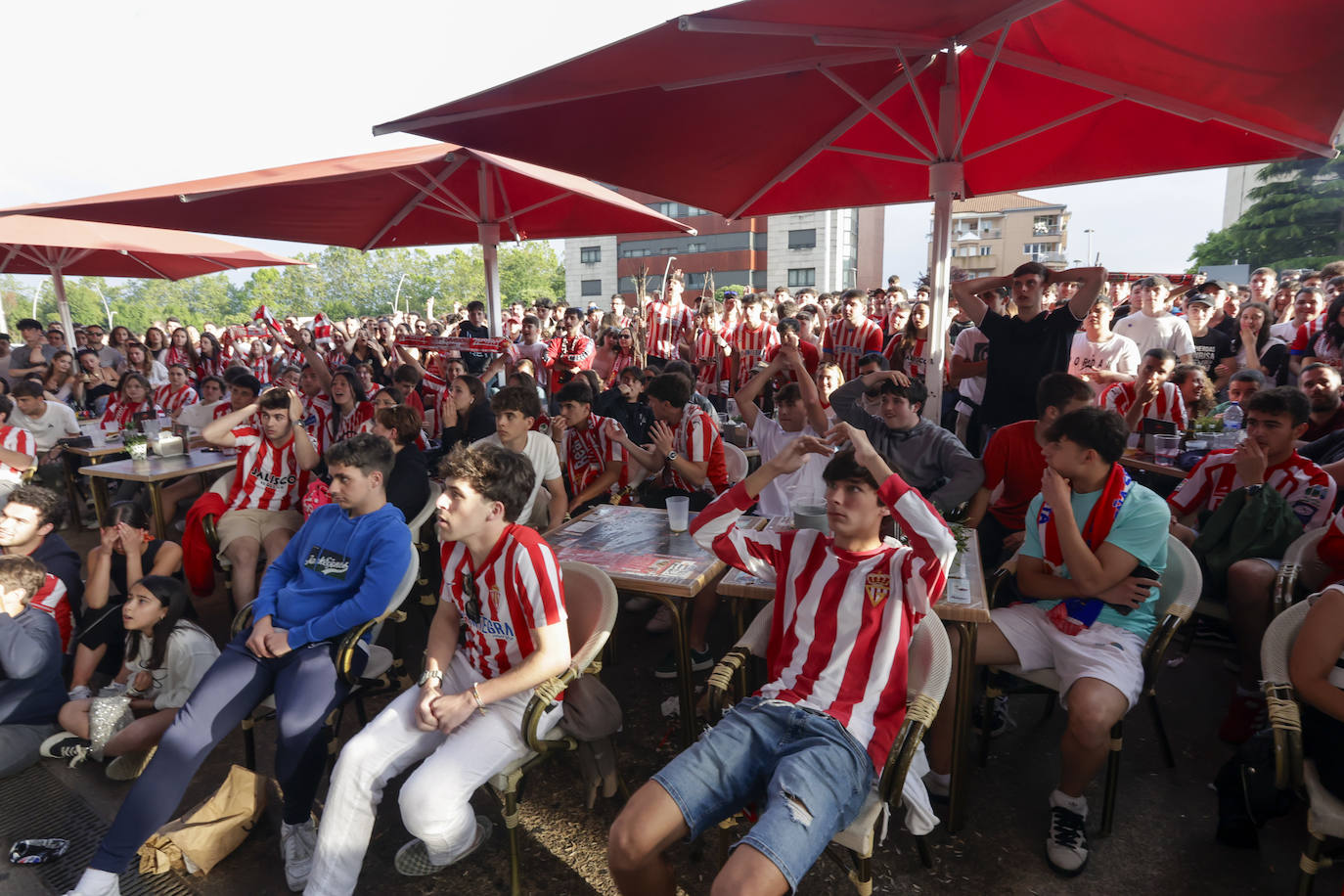 Éxtasis en Gijón tras la victoria del Sporting