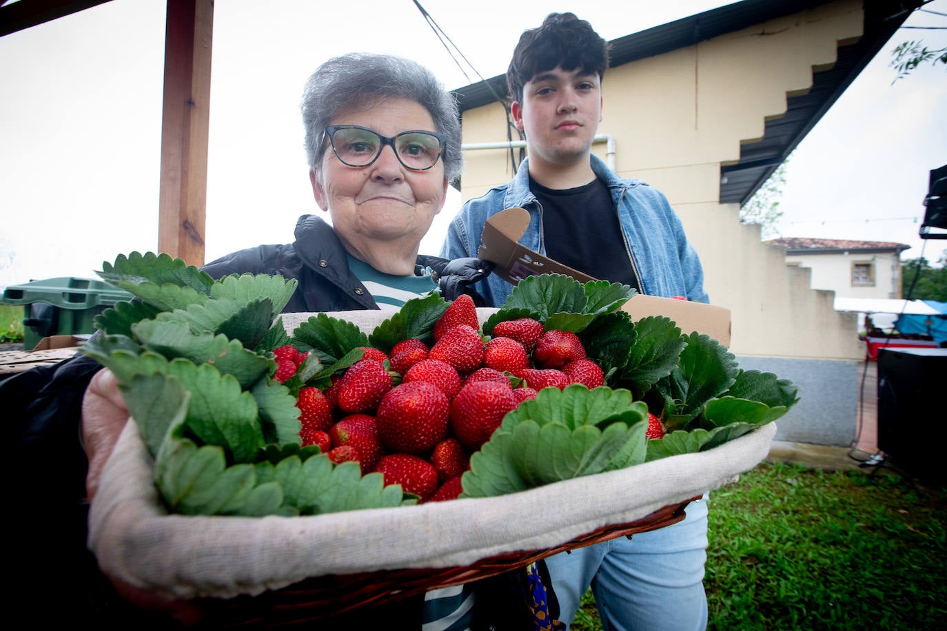 La fresa de Candamo cada año está mejor: un festival lleno de sabor