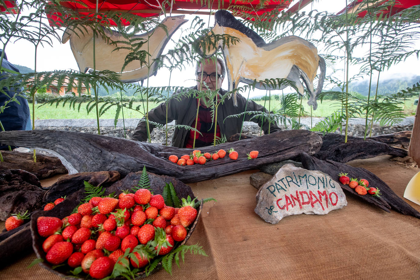 La fresa de Candamo cada año está mejor: un festival lleno de sabor