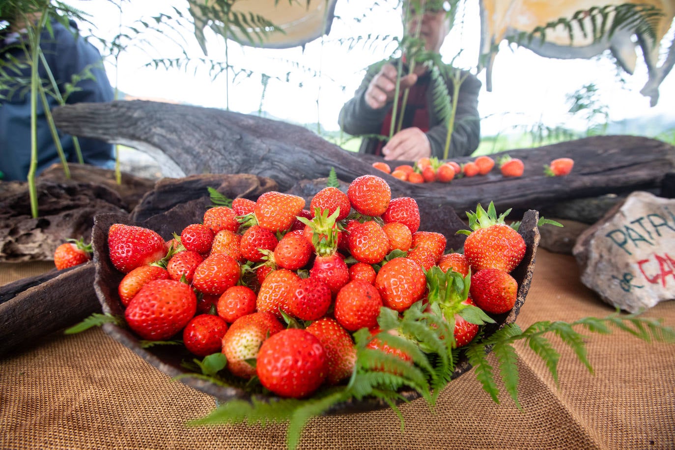 La fresa de Candamo cada año está mejor: un festival lleno de sabor