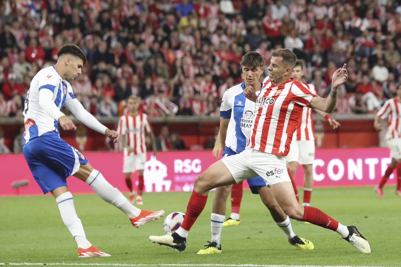 Las mejores imágenes del partido entre el Sporting y el Espanyol