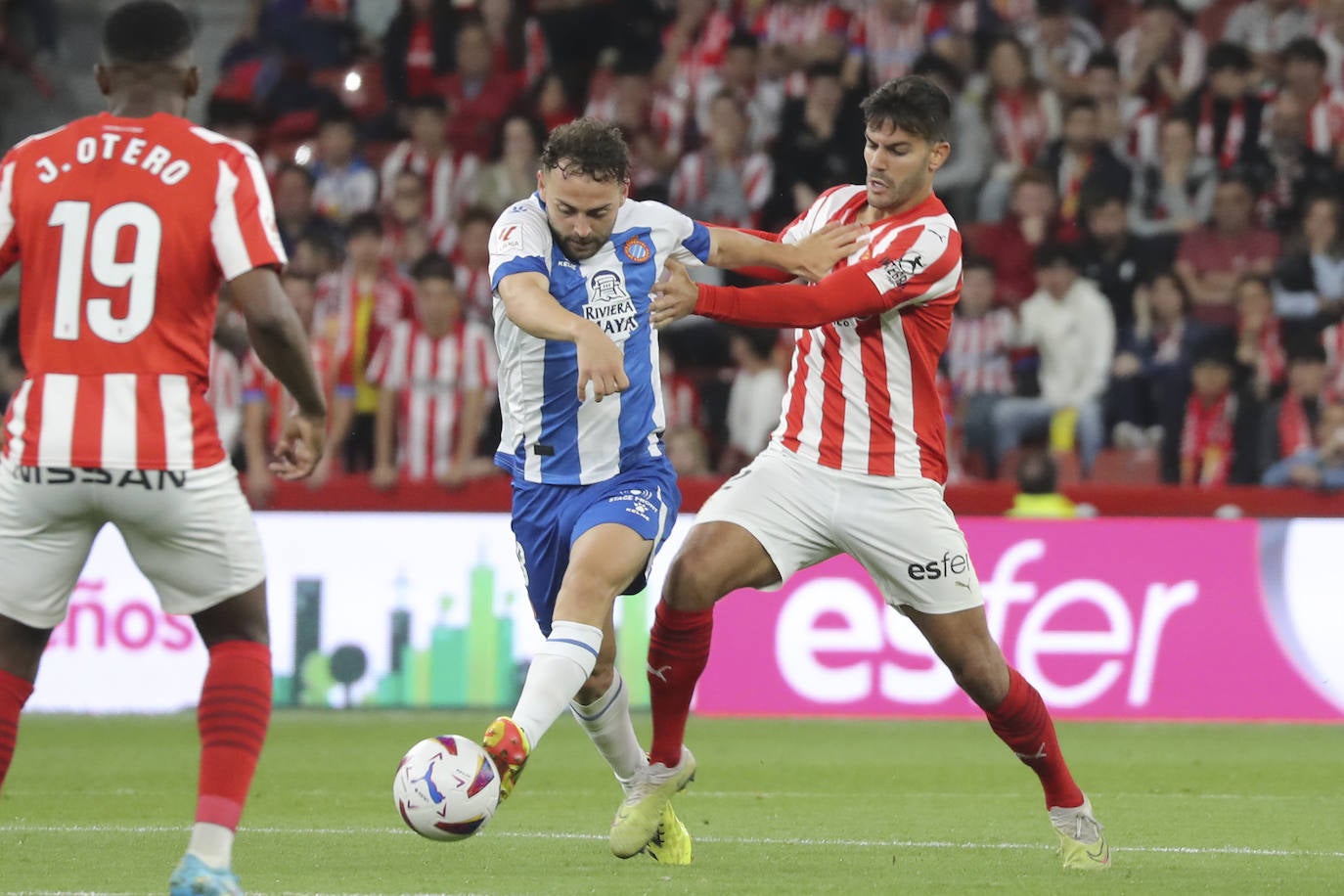 Las mejores imágenes del partido entre el Sporting y el Espanyol