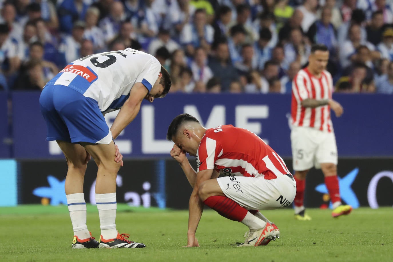 Las mejores imágenes del Espanyol - Sporting