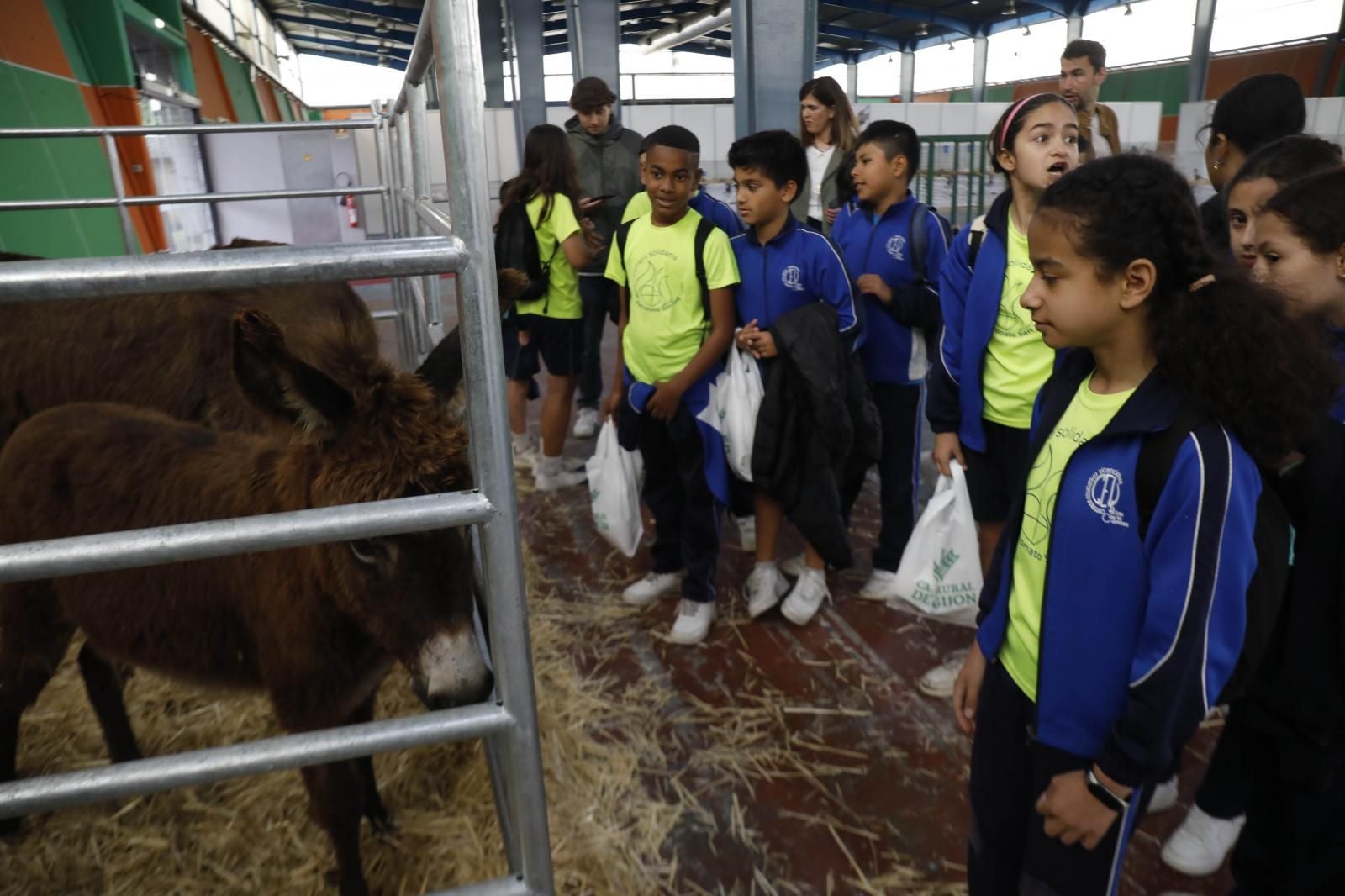 La Feria de San Antonio de Gijón, en imágenes