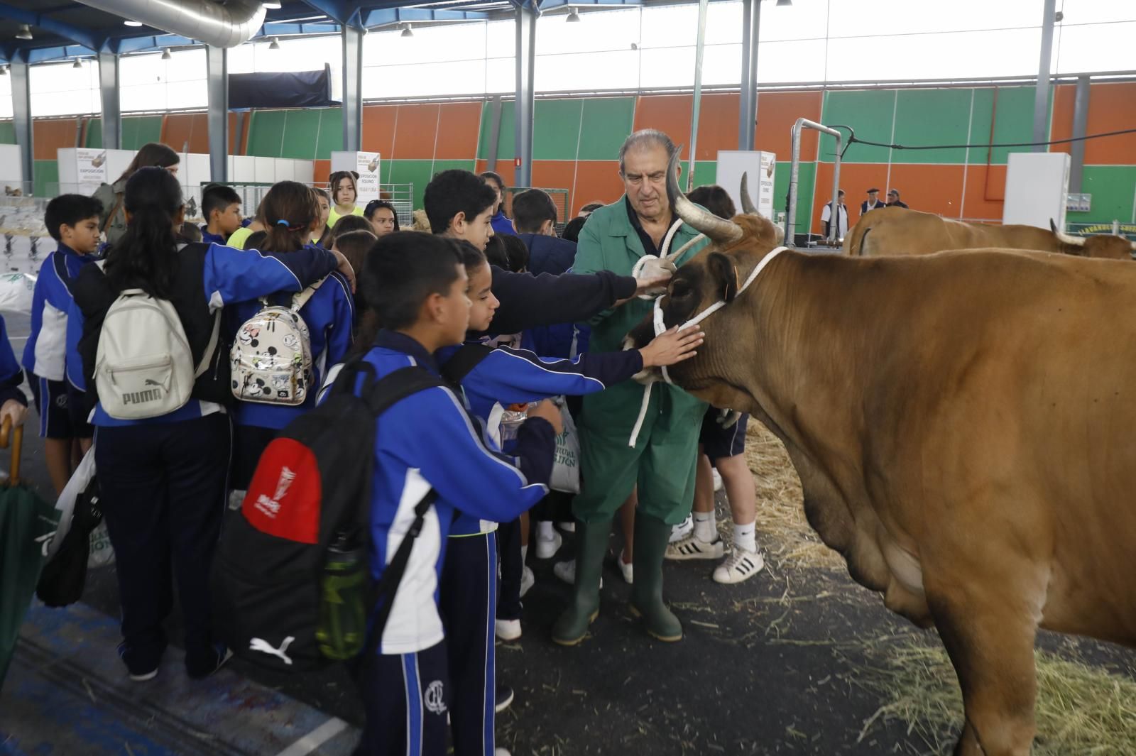 La Feria de San Antonio de Gijón, en imágenes