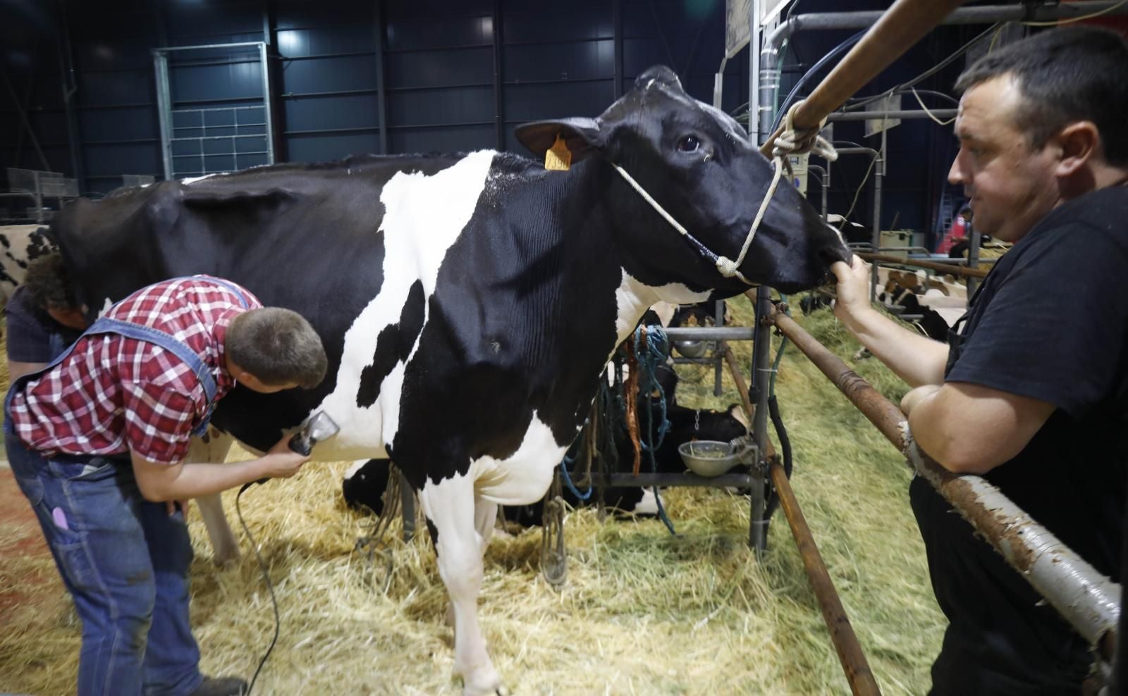 La Feria de San Antonio de Gijón, en imágenes