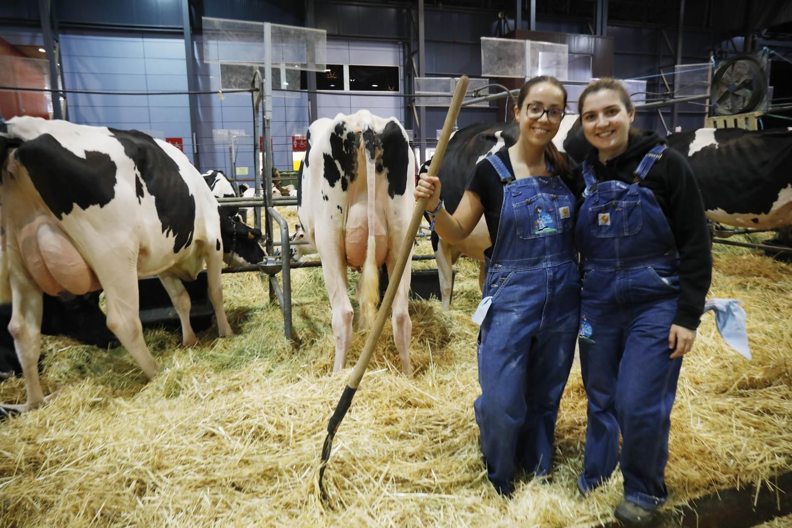 La Feria de San Antonio de Gijón, en imágenes