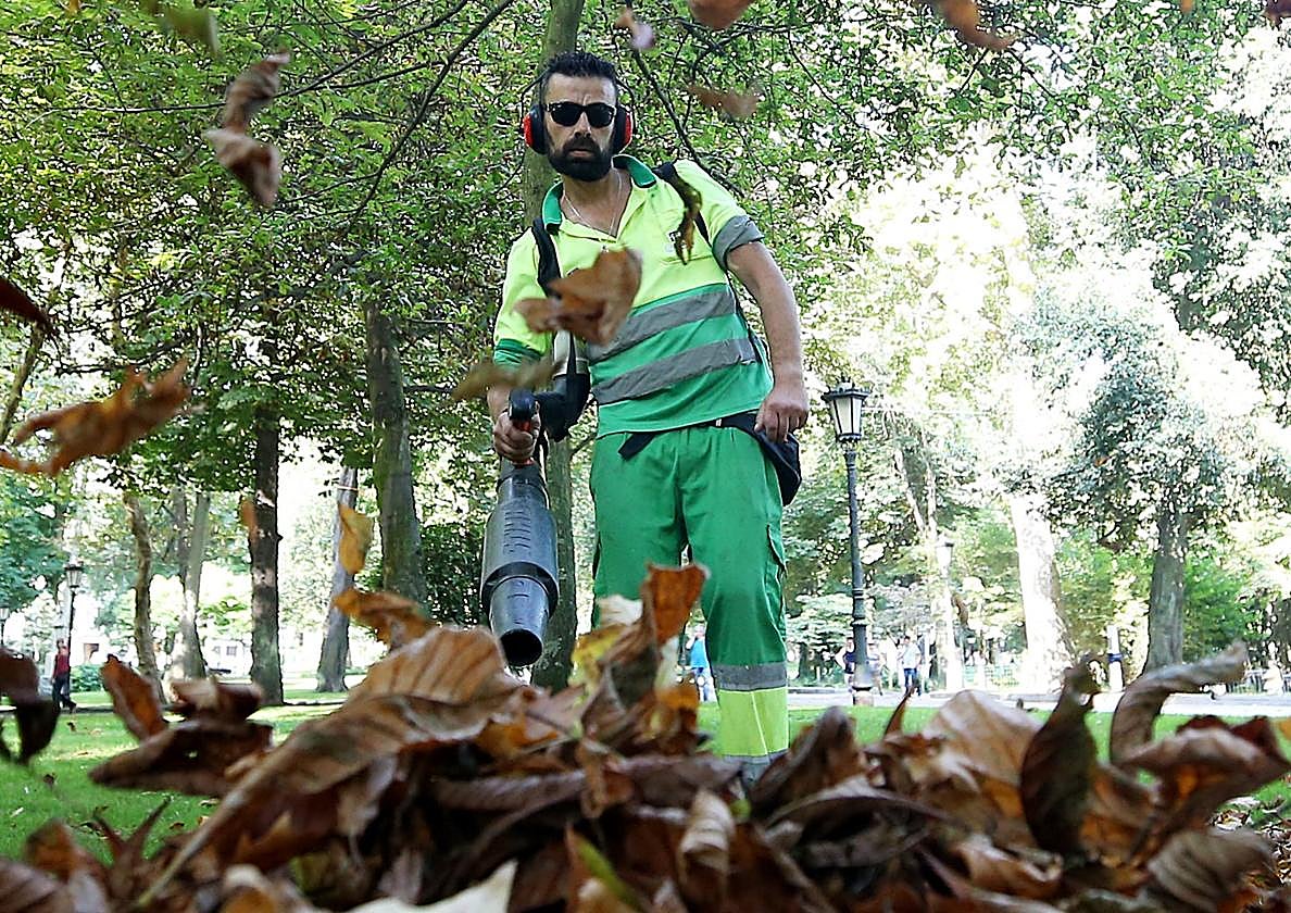 Un jardinero retirando las hojas en el Campo de San Francisco.