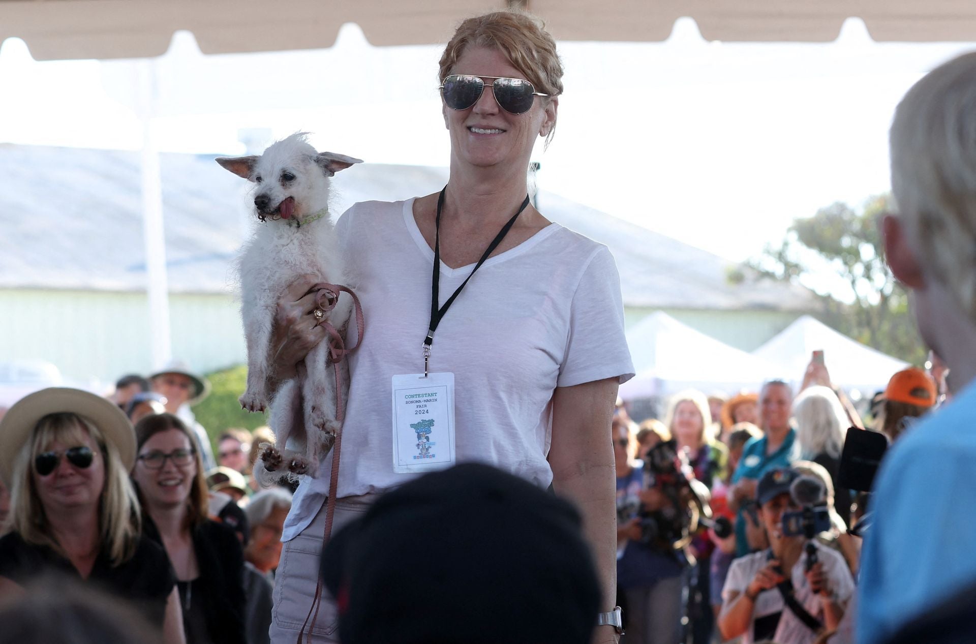 Y el perro más feo del mundo es...