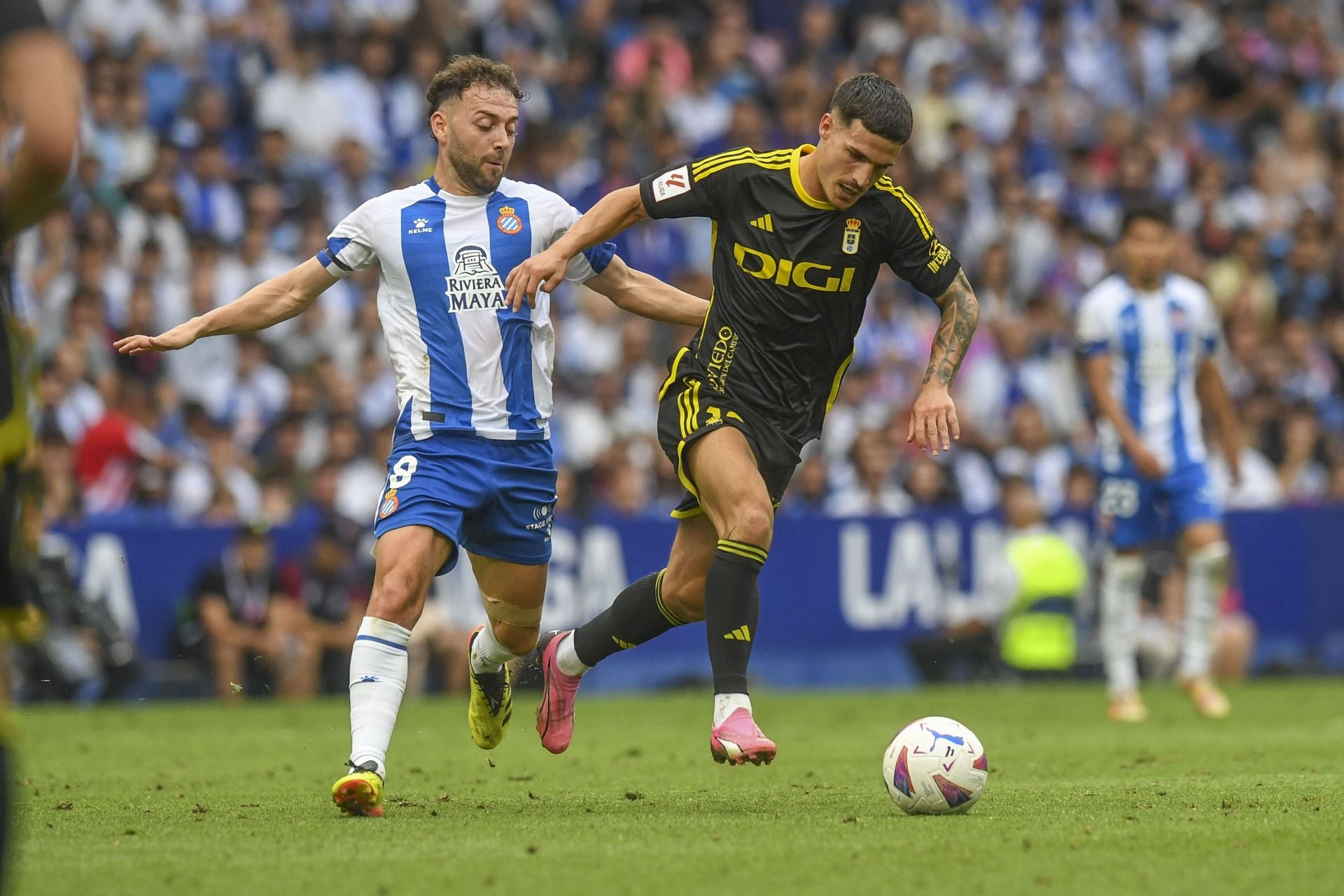 Las mejores imágenes del Espanyol - Real Oviedo