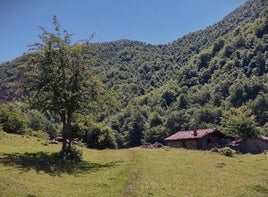 Majada de Vega Baxu, con cuidadas cabañas y rodeada de frondosos bosques.