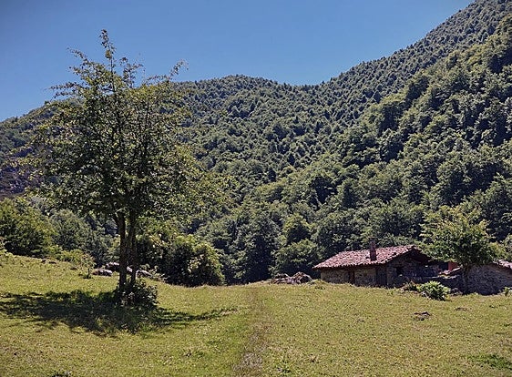Majada de Vega Baxu, con cuidadas cabañas y rodeada de frondosos bosques.