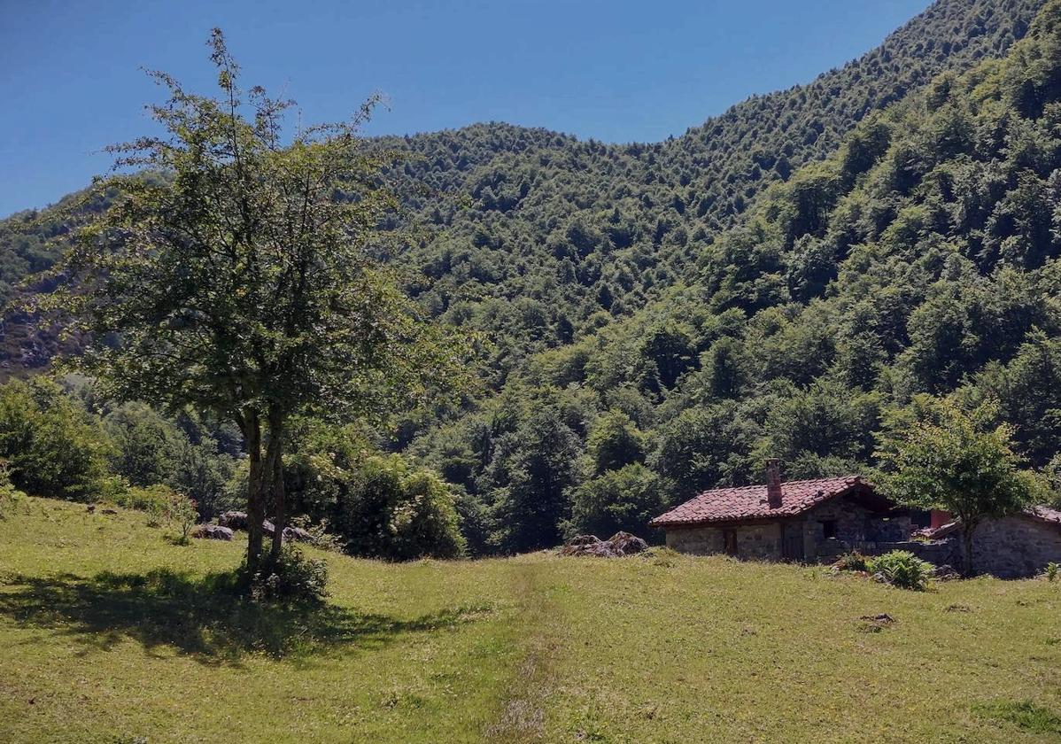 Majada de Vega Baxu, con cuidadas cabañas y rodeada de frondosos bosques.