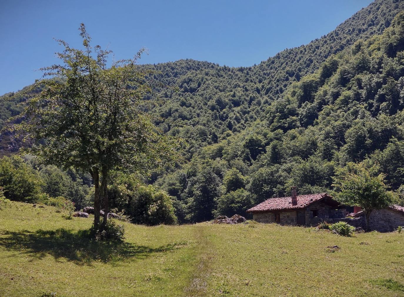 Imagen secundaria 1 - 1) Zona de la Texera y sendero entre verde y bosque hasta Vega Baxu. 2) Vega Baxu, un oasis entre montes ideal para una jornada de desconexión. 3) Zona de Vegariba, majada vecina de Vega Baxu y casi desaparecida.