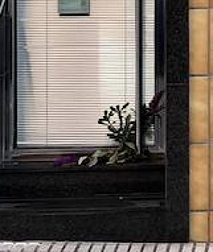 Imagen secundaria 2 - Farmacia en la que trabajaba el fallecido y flores depositadas en la puerta del negocio.