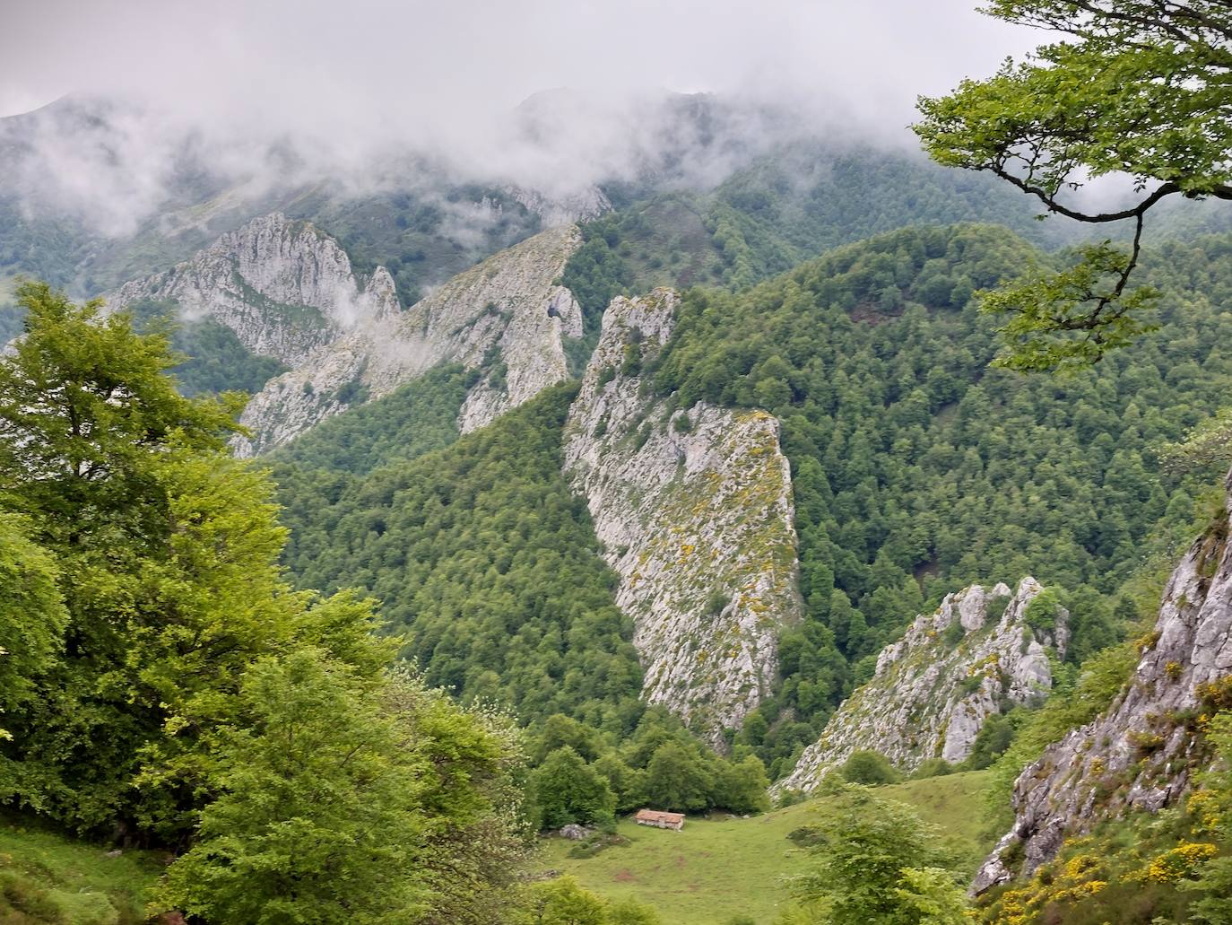 Entre bosques asturianos: los paisajes de la ruta a las cumbres del Maciedome y el Tiatordos