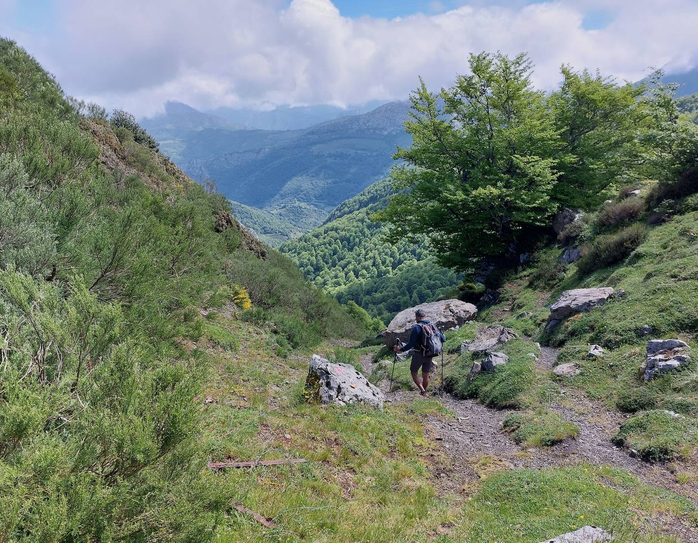 Entre bosques asturianos: los paisajes de la ruta a las cumbres del Maciedome y el Tiatordos