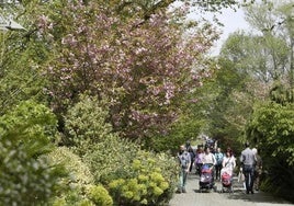 Familias visitando el Jardín Botánico.