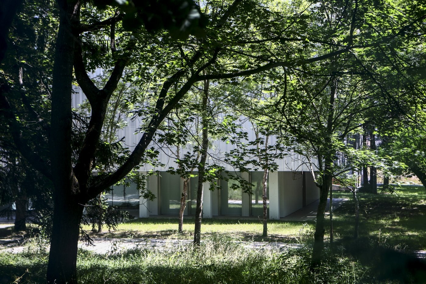 La nueva sede del IPLA en La Corredoria, tras los árboles que flanquean el acceso.