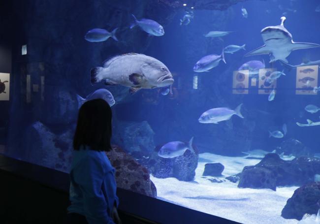 Bioparc Acuario de Gijón