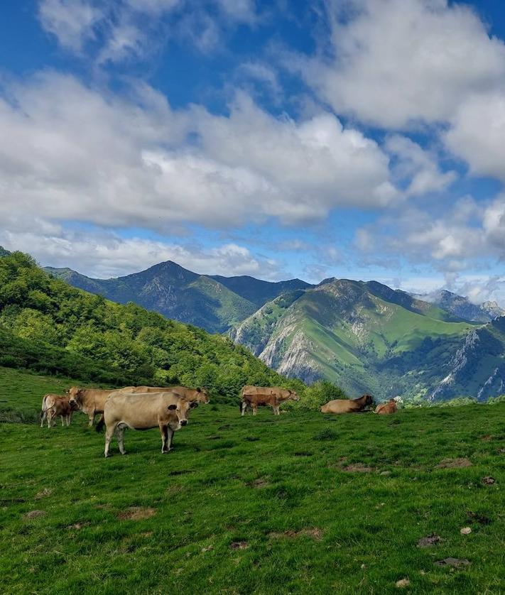 Imagen secundaria 2 - 1) Desde el principio de la pista se ve bien clara al fondo la collada de Isorno, a los pies de -a la izquierda- peña Riegos. 2) Vistas desde el camino que sube a la collada Isorno. 3) Collada Isorno.