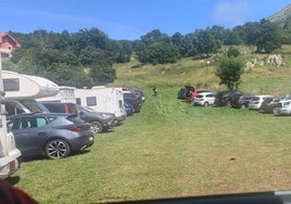 Vehículos estacionados en un prado