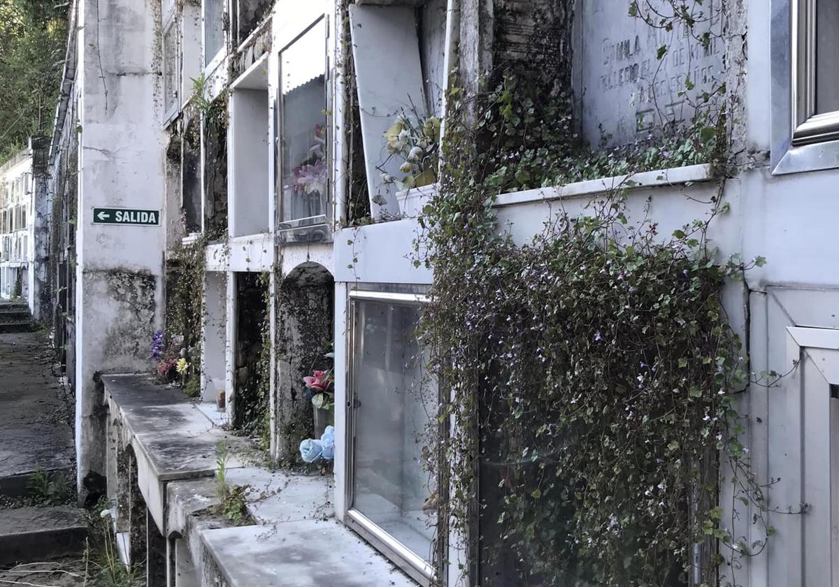 Estado actual del cementerio de San Andrés de El Entrego, lleno de maleza y suciedad.