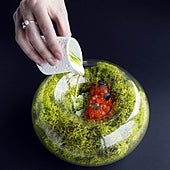 Una trucha ideal para cada plato