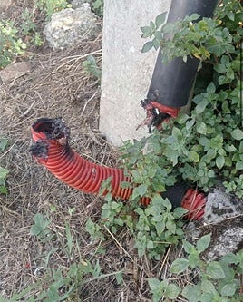 Daños causados en el intento de robo.