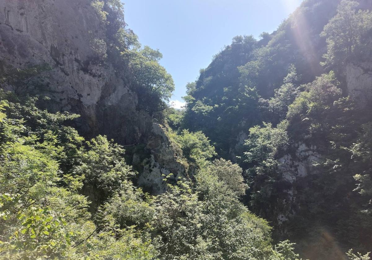 Imagen principal - Paisaje del Desfiladero de las Xanas/ vistas hacia Dosango y Pedroveya/ camino que enlaza Peña Rey con ruta de las Xanas en la ermita de Pedroveya