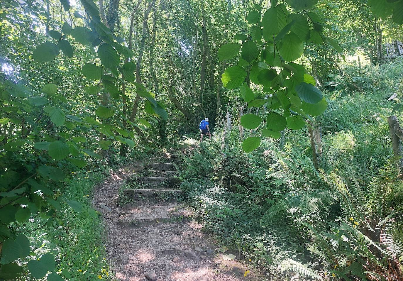 Entrando al desfiladero de las Xanas por zona de bosque