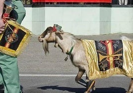 La cabra de la Legión en un desfile.