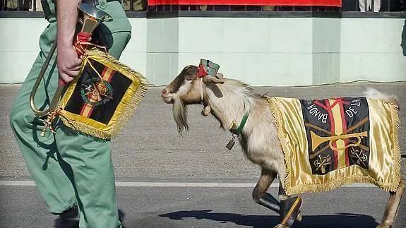 La cabra de la Legión en un desfile.