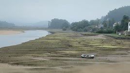 El Ayuntamiento de Villaviciosa recurrirá el proyecto para el cultivo de almejas en la ría