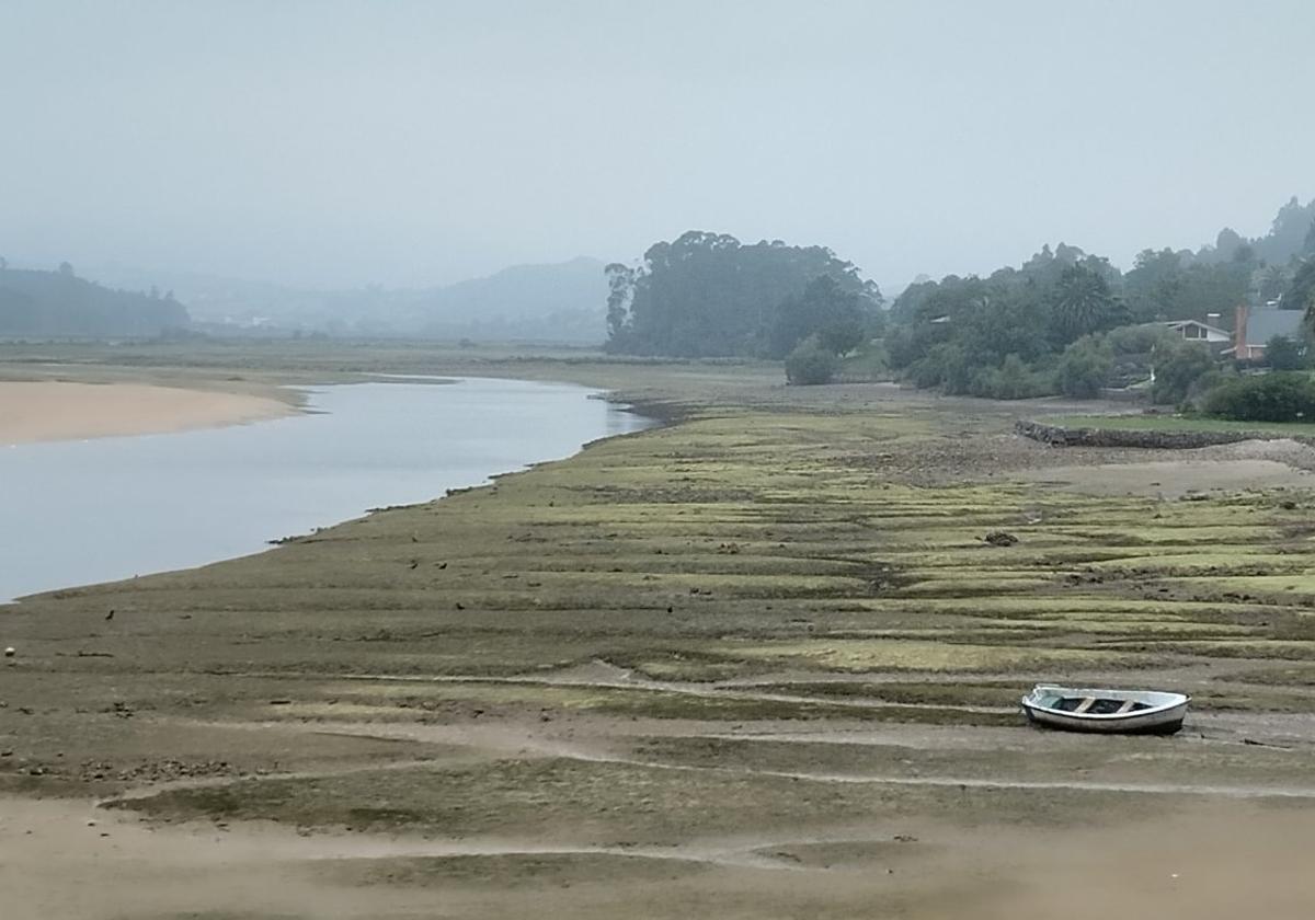 El Ayuntamiento de Villaviciosa recurrirá el proyecto para el cultivo de almejas en la ría