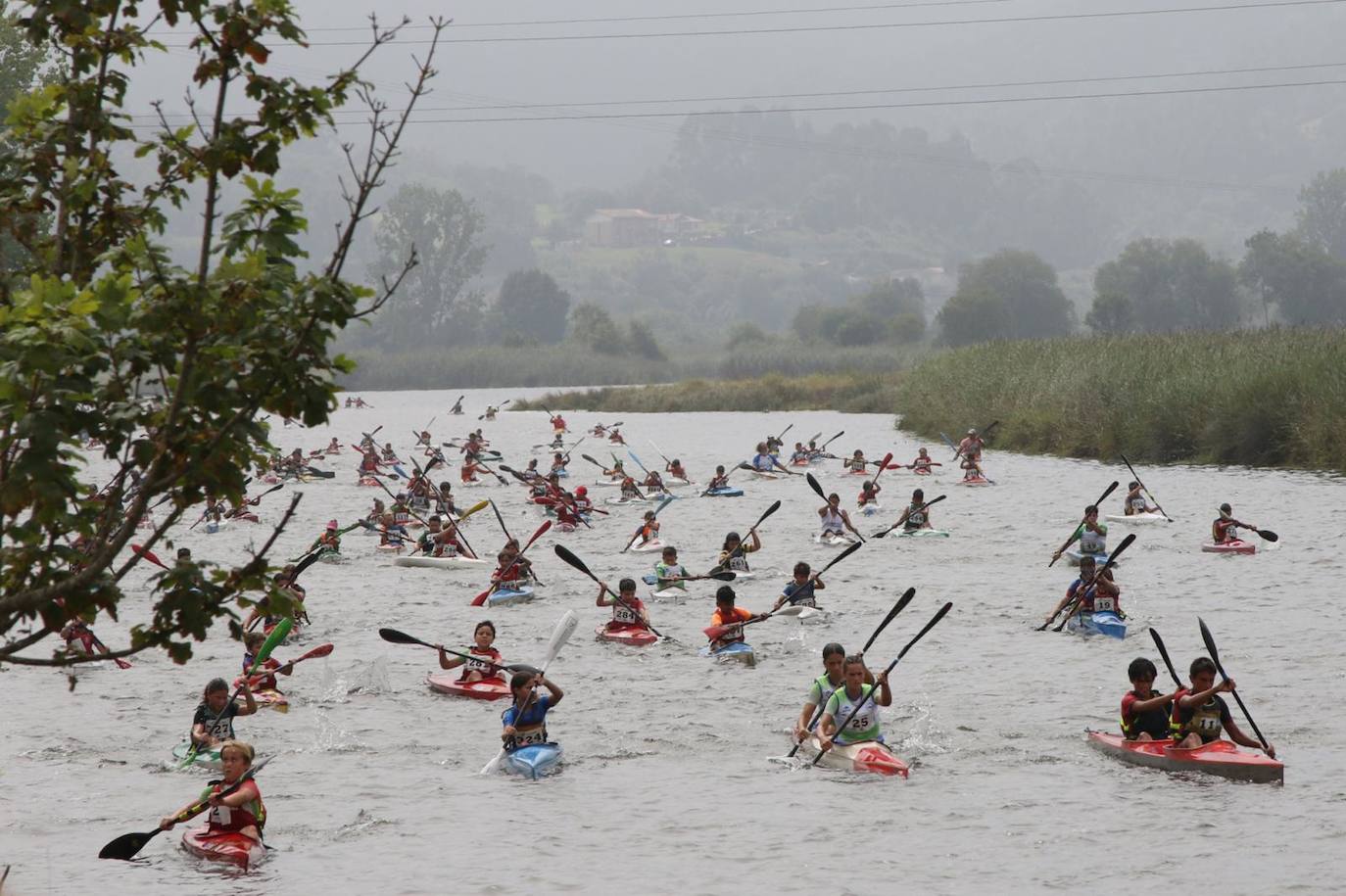 Multitudinario Mini Sella con más de 400 palistas