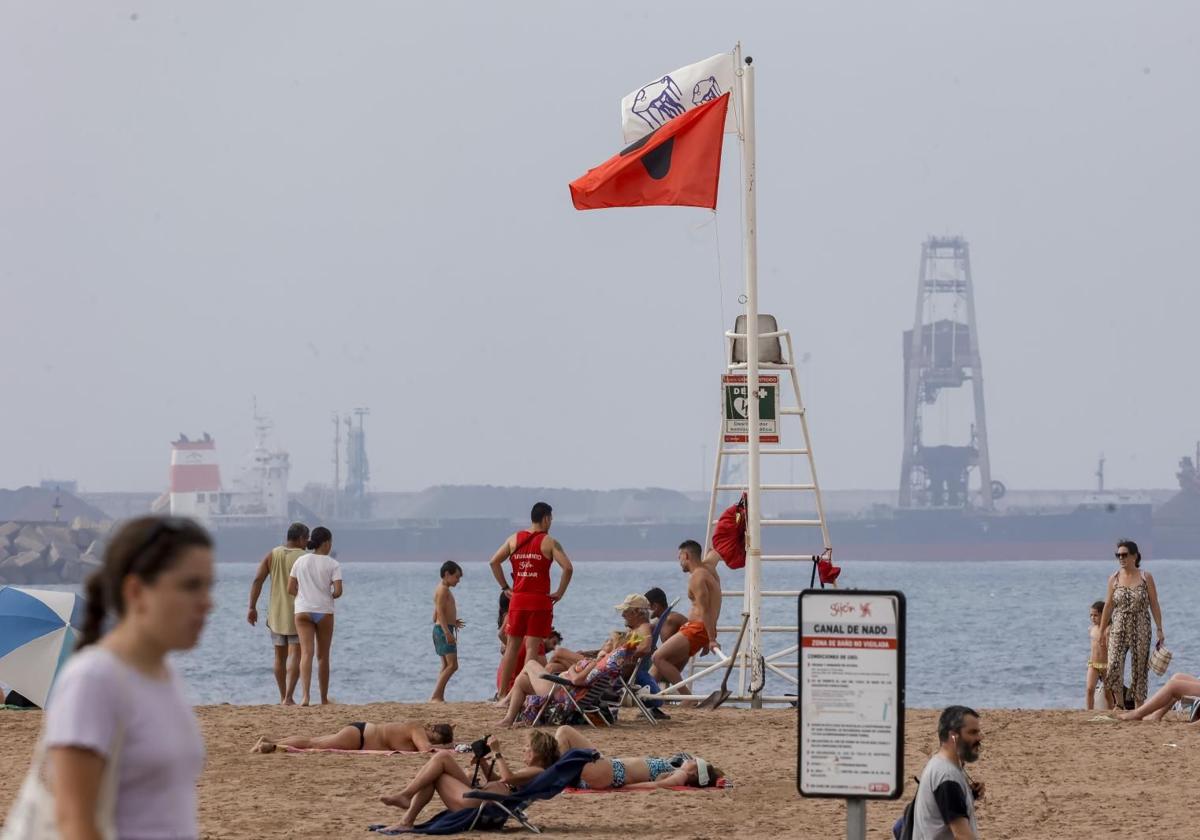 Alerta por medusas en la playa de Poniente de Gijón