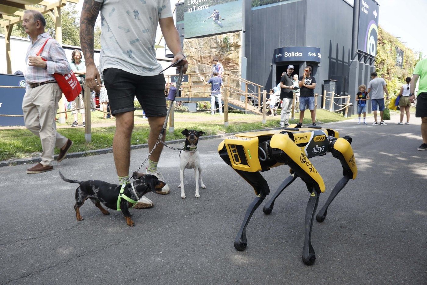 El robot cuadrúpedo que EdP prueba en su central de Tanes, junto a dos perros de paseo por la Fidma