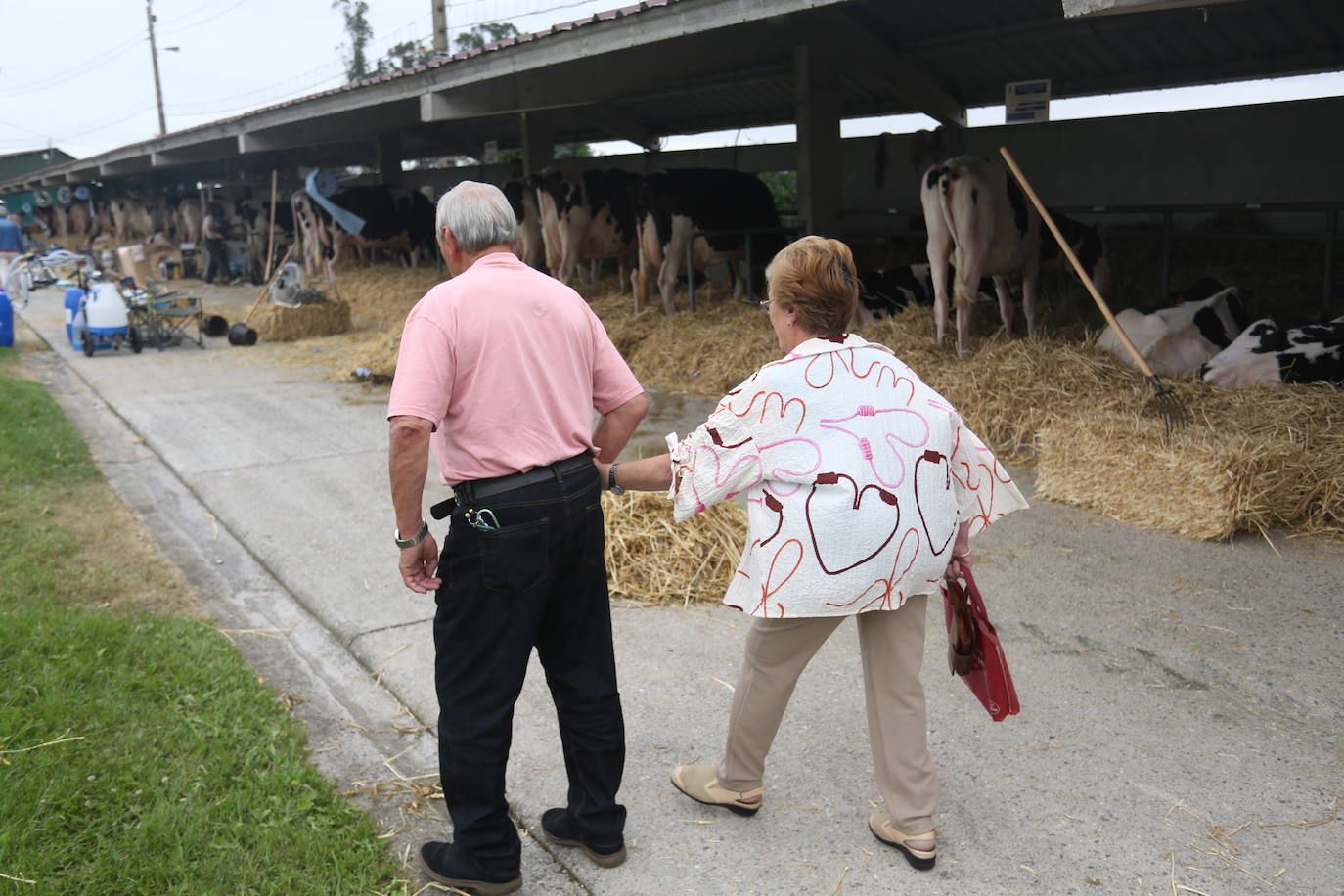 La 49ª Feria Agroalimentaria de Llanera, en imágenes